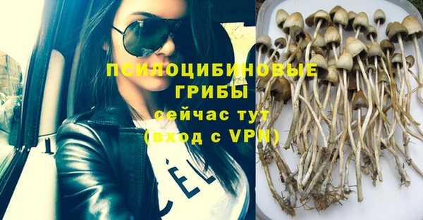 винт Аркадак