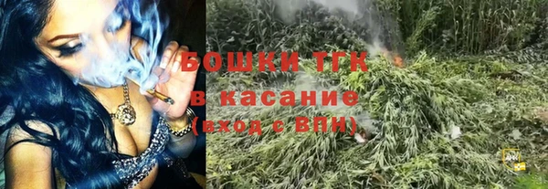 винт Аркадак