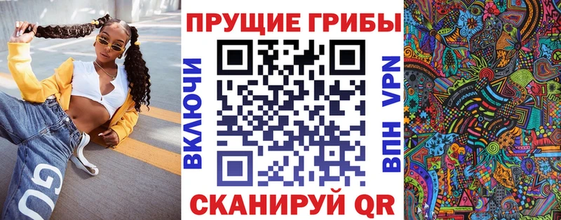 нарко площадка формула Тихорецк Псилоцибиновые грибы Psilocybine cubensis
